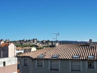 Grand appartement vue sur la Cité ! - Carcassonne - 6