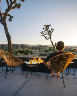 Mulberry & Pine By The Cohost Company - 8