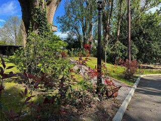 Forest Studio Apt free gated Parking on 2 acres Garden - Chislehurst - 7