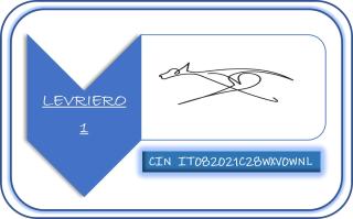 Levriero1 - Carini - 8