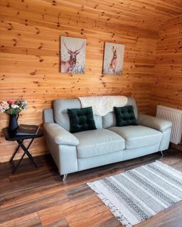 'Cosy Gem' Cabin Woodland Retreat Randalstown NI - - 6