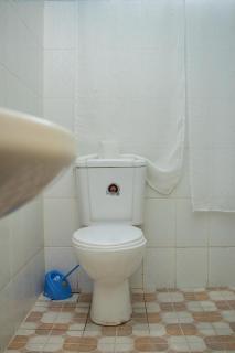Themes Guesthouse, Nanyuki - 4