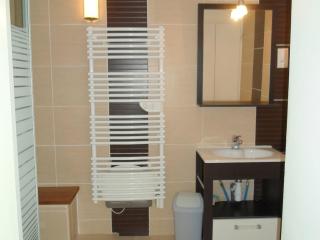Appartement Climatisé 2 Étoiles, Proche Thermes et Parc, Animaux Admis, Parking, Non-Fumeur - FR-1-503-91 - Balaruc-les-Bains - 1