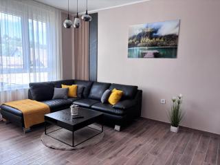 Lux apartman 5- Vila Lena - Vrdnik - 8