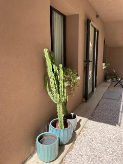 labotanica_casalounge - Cesenatico - 3