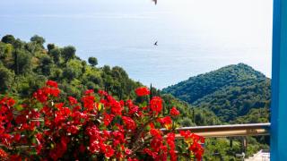 Selami Sea View Apartments - 6