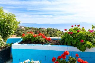 Selami Sea View Apartments - 8