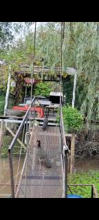 Casa Flotante Nenufar - Tigre - 3