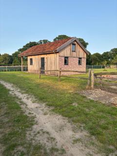 Noaberstee - Sellingen - 8