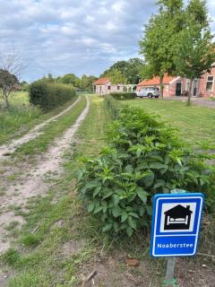 Noaberstee - Sellingen - 7