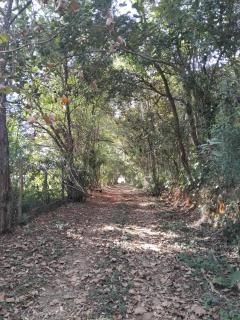 Casa Térrea e Rústica - Serra da Cantareira - Mairiporã - 6
