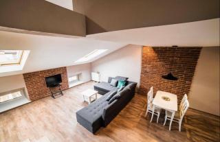 VIP penthouse - Lviv - 4