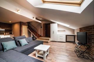VIP penthouse - Lviv - 2