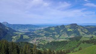 Vac-Vue de Charmey - Charmey - 9