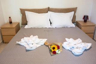 NG Happy Yard Studio - 9