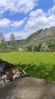 Hilltop cabin - Podgorica - 4