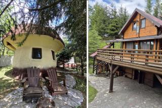 Art Apartments Minic - Kolašin - 9