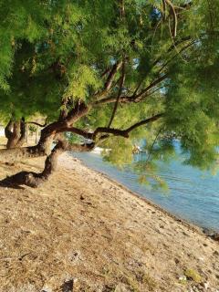 Krešo i Niko - Grebaštica - 9