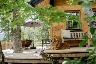 Hütte Neuhaus - Annaberg im Lammertal - 1