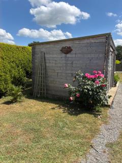 Nid douillet - Néant-sur-Yvel - 7