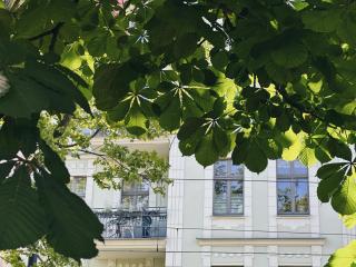 Sophie Apartment - 9