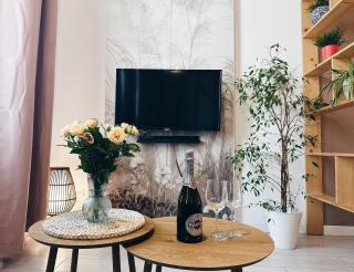 Sophie Apartment - Toruń - 8