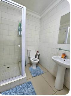 Ermelo 2 bedrooms, 2 bathrooms,full kitchen - Ermelo - 8