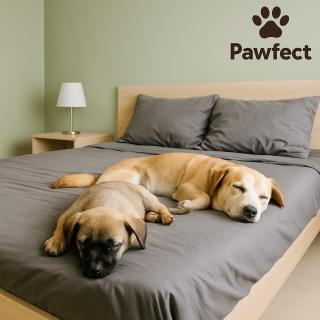 Pawfect Dining & Stay Pet Friendly Hotel in Da Lat - Kon Rung (1) - 5