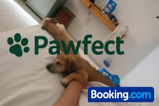 Pawfect Dining & Stay Pet Friendly Hotel in Da Lat - Kon Rung (1) - 4