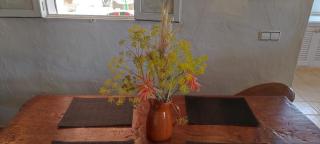 Tranquila casa unica en Playa Mitjorn Formentera - - 8