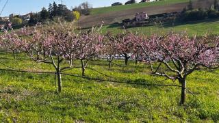 Nature & Comfort Stylish Apartment in the Hills - Pino Torinese - 7