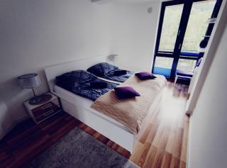 Apartament Gwiazda Perła Krynicy - Krynica-Zdrój - 2