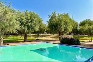App Luxe Piscine Rooftop Wifi - Oulad Akkou - 8