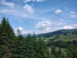 Dumbrava Cerbilor - Văleni - 3