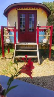 Magnifique Roulotte Bohème 1930 - 1