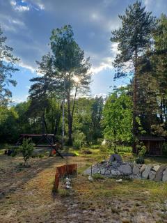 Domek w lesie - 1