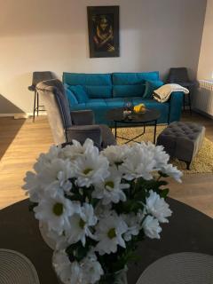 Marigold Centar NS - Novi Sad - 9