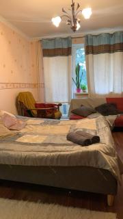 Spacious one room apartment with a balcony - Tallinn - 9
