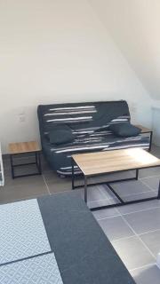 Appartement T2 hippodrome - Séné - 9