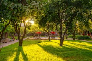 Mandarin Bungalow - Alanya - 5