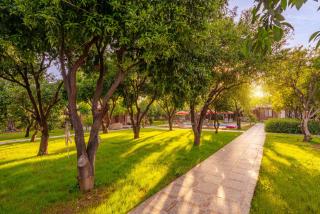 Mandarin Bungalow - Alanya - 6