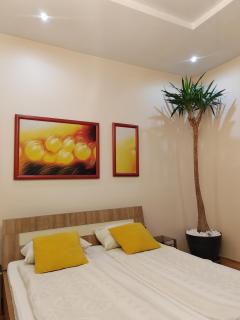 DR Apartment - Novi Sad - 8