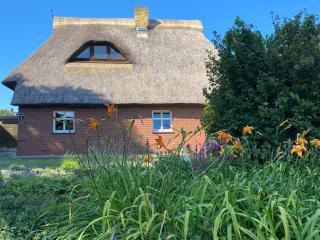 Ferienwohnung unter dem Reetdach - Wustrow - 4