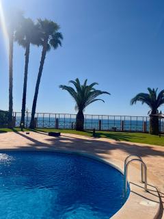 Flamingo Apart - Orihuela - 7