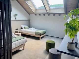 Hôtel L'Echappée Vosgienne - SPA - Salle de Sport - 6
