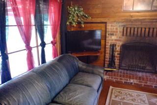 Cedar at Rainier Lodge (0.4 m from Mt.Rainier) - 1