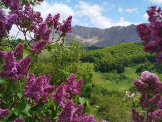 Čemerno Cottage - 7