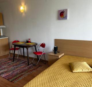The Red Studio - 8