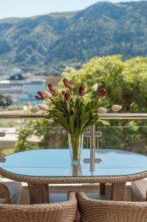 Apartments Los Olivos - Kotor - 6