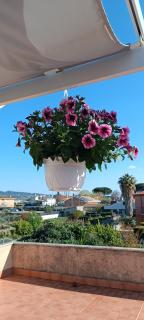 F.A.M. ROOMS - Ciampino - 1